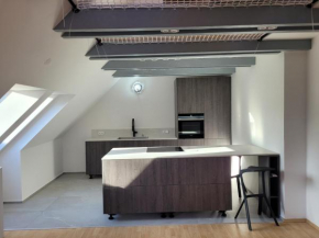 LIPNO BEACH SIDE - RIVIERA APARTMENT, Lipno Nad Vltavou